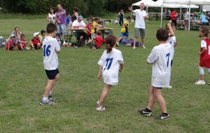 526045168c16d_DSC03784site.jpg