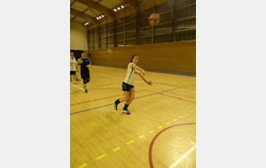 54cfed004baab_sitel9.JPG