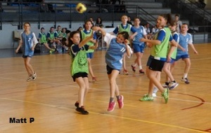 55183dcb01ff4_28034site.JPG
