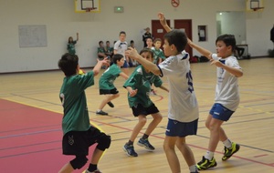 5567806885472_HANDBALL24JANVIER122site.jpg
