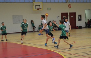55678070584a3_HANDBALL24JANVIER158site.jpg