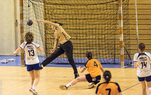 566ead48781f8_handbalN3feminine2089.jpg