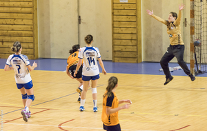 566ead4983352_handbalN3feminine2091.jpg