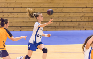 566ead4a36430_handbalN3feminine2095.jpg