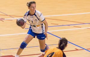 566ead4aceda5_handbalN3feminine2096.jpg