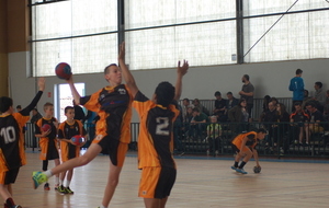 575667011a6c5_DSC0003.JPG