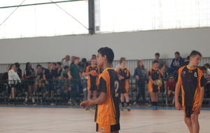 57566702688c1_DSC0004.JPG