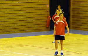 587d208bb33e2_DSC09271.JPG
