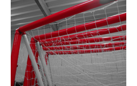 Nouvelles cages pour le mini-hand