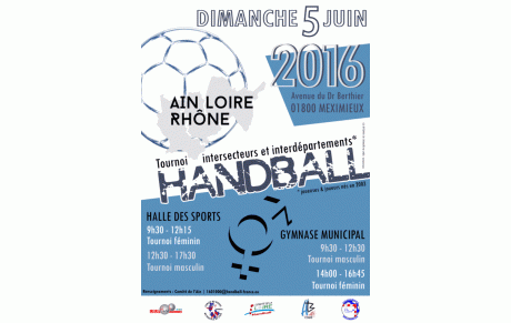TOURNOI INTER-SECTEURS, INTER-DEPARTEMENTS / 2003 Féminins et Masculins