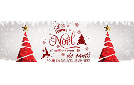 Joyeuses fêtes et meilleurs voeux pour la nouvelle année